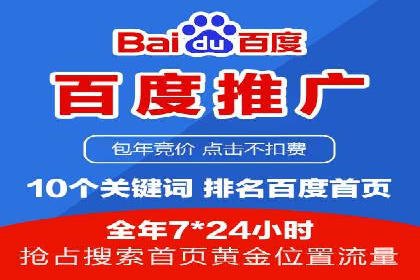 百度竞价排名服务：成功案例解析与优化策略